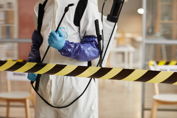 Professional Sewage Cleanup technician working in Belden, NE